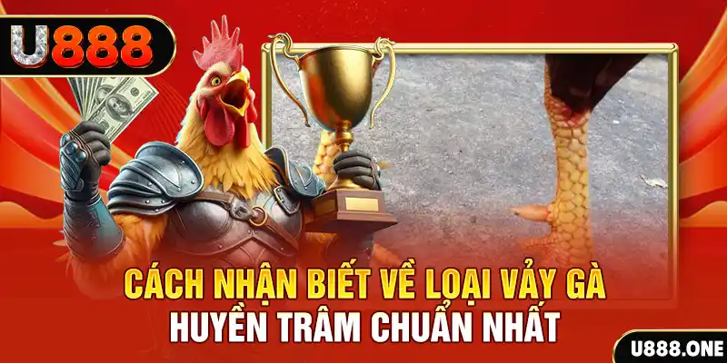 game no hu Chú hề Patty tuổi teen