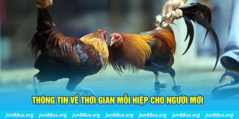 game no hu Long Hổ 2