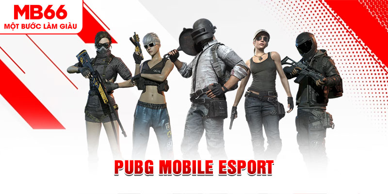 game no hu gà chọi c1 mới nhất