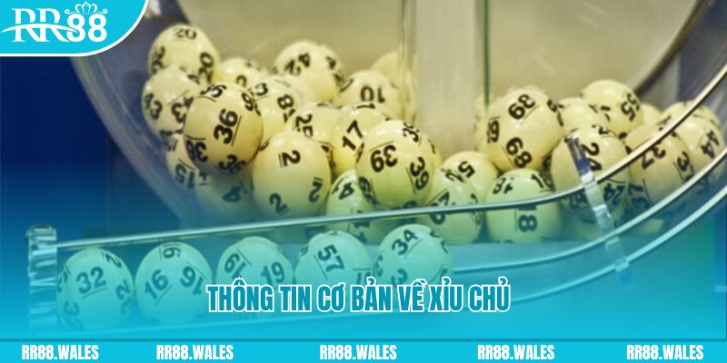 game no hu baccarat long bảo là gì