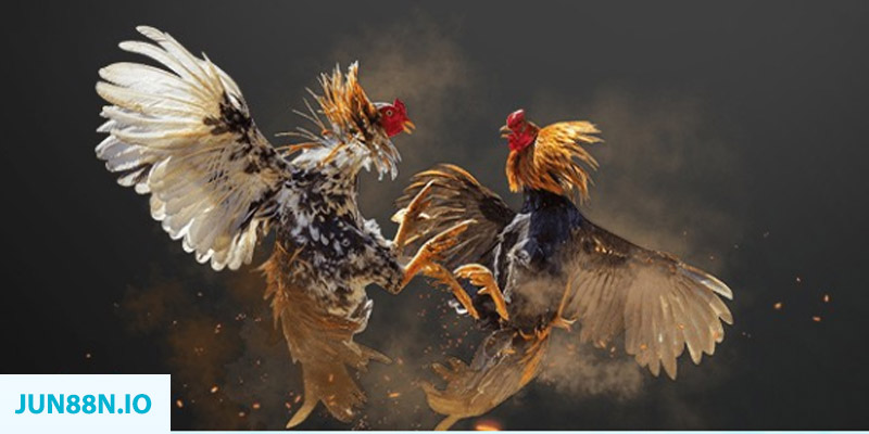 game no hu bắn cá long vương