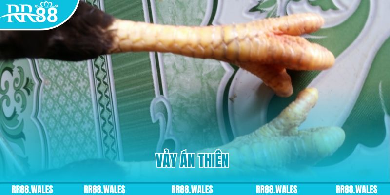 game no hu who wants to be a millionaire slot