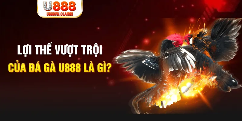 game no hu 888 slot là gì